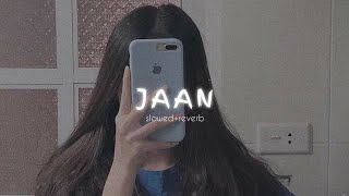 Jaan | Barbie Maan  {Slowed+Reverb} Teri Jaan Da Dushman Shehar Sara te Tu Jatti jaan
