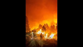 Wolves Wildfire And Climate Change A Conversation With Jon Trapp