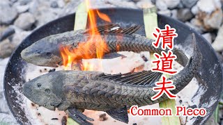 【shyo video】農村小伙第一次吃清道夫，直接用鹽燒，吃到最後表情亮了