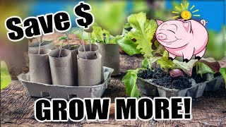 Starting Seeds on a BUDGET!