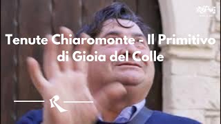 Tenute Chiaromonte - Il Primitivo di Gioia del Colle