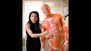 Fascia & chronic pain… think big! Fascia is a system, let’s not “chase the pain” 🙏