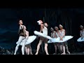 St Petersburg Ballet Theatre's Swan Lake