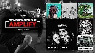 Amplify - Drumfish Interview