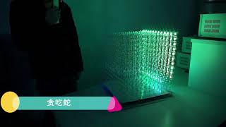 Design of a 3D Dynamic Display System Based on Voice Control (一种智能语音控制的3D光立方动态显示系统)