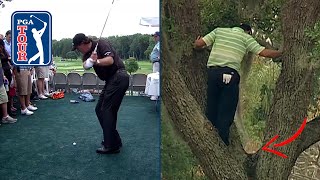 WHAT ARE THE ODDS?! | Golf balls landing in weird places