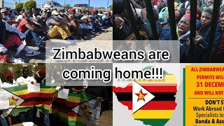 Many Zimbabweans in South Africa have decided to return to Zimbabwe | Here is why