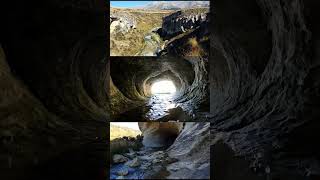 This is so COOL! 😎 The Scenic Reserve - New Zealand ❤️