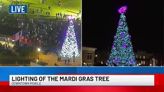 Lighting of the Mardi Gras Tree