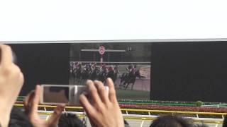 競馬 G1 2011年 第6回 ヴィクトリアマイル ファンファーレ～ゴール 現地撮影