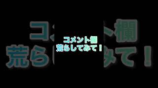 コメント欄荒らしてみて❗️