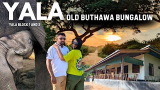 Yala | Old Buthawa Bungalow | යාල කැලේ දින 2ක්  #yalabungalow #offroad #oldbuthawa #yalasafari