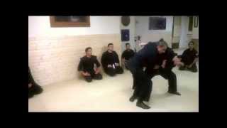 Bujinkan Turkiye. One short technique from April 2015 class