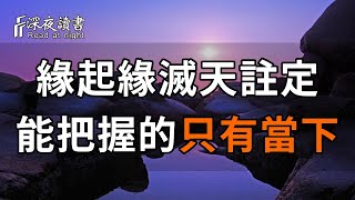 人生，就是一場馬不停蹄的錯過！緣起緣滅天註定！我們能把握的，只有當下...【深夜讀書】