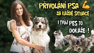 PŘIVOLÁNÍ PSA za Každé Situace - Tipy&Triky, jak naučit povel KE MNĚ spolehlivě