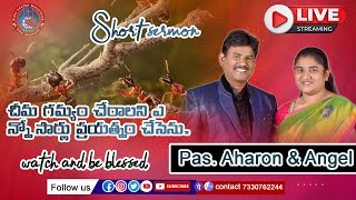 Short sermon. // By Pastor. Aharon. చీమ గమ్యం చేరాలని ఎన్నో సార్లు ప్రయత్నం చేసెను.