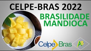 CELPE-BRAS 2022 - BRASILIDADE - MANDIOCA - TAREFA 1