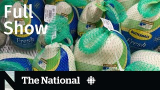 CBC News: The National | Thanksgiving inflation, Ozempic concerns, U.S. political chaos