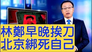 「斬」林鄭？尋找時機，港人反送中遍地開花，習綁死了自己【新聞看點】（2019/07/15）