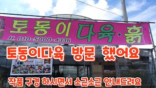 #토동이다육 방문 다육이 #작품이랑 화분이랑 구경 하시면서 흙구매 안내드림니다