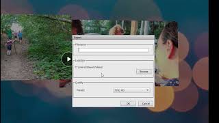 Build a DVD from a Slideshow in Premiere Elements 2022