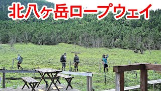 【北八ヶ岳ロープウェイ 散策】蓼科高原の北八ヶ岳ロープウェイ山頂を散策してきました。冬はスキーの出発地点、夏は高原の散策路と夏山登山の登り口となっています。2022年8月27日