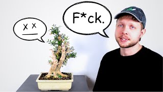 How to Deal with DIEBACK in Bonsai