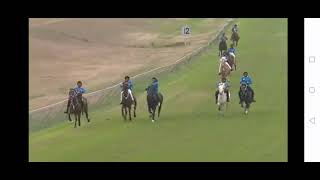 Traditional horse racing_Scottville