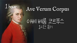 Mozart - Ave Verum Corpus K.618 (모차르트 아베 베룸 코르푸스 1시간 듣기)