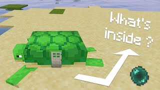 WHAT's INSIDE A TURTLE IN MINECRAFT?????