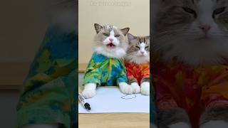 Kitty 🐱 ने कीड़े को बनाया बेवकूफ 😂|Story video|#shorts #funny #sad #story