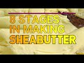 HOW TO MAKE SHEA BUTTER IN UPPER WEST REGION OF GHANA, WEST AFRICA