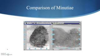 Fingerprint Analysis Part 3: Minutiae