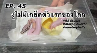 EP. 45 งูไม่มีเกล็ดตัวแรกของโลก