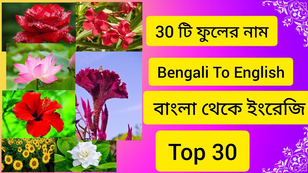 Beautiful Flower Name Bengali To English।। Best 30 টি ফুলের নাম।। ৩০ টি ...