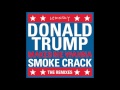 Ledinsky "DonaldTrumpMakeMeWannaSmokeCrack" (Landis Remix)