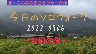 ま・こんのふるさとウォークch　今日のソロウォーク 2022 0906 〜台風の後〜