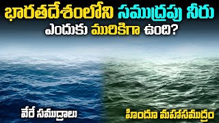 Why Indian Ocean not Clean! | భారతదేశంలోని సముద్రపు నీరు ఎందుకు మురికిగా ఉంది?