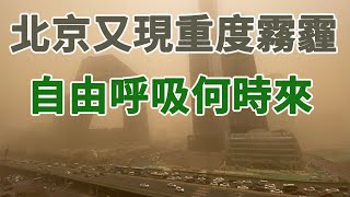 北京的霧霾到底有多嚴重，別在被騙了，重度霧霾下，工作生活學醫都受到了影響，乾凈的空氣，藍色的天空何時能常駐不走