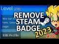 How To Remove Steam Profile Badge 2024 [STILL WORKS]