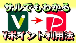 【サルでもわかる】VポイントをPayPay支払いで使う方法