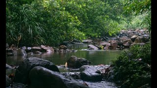 NACHCHIMALE-SRILANKA