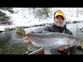 battling big winter steelhead the pinnacle of great lakes fishing