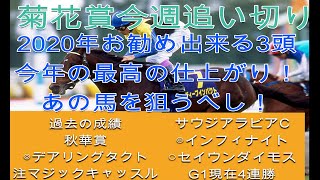 【菊花賞 追い切り】コントレイルのライバル馬は意外と多い！【競馬 必勝法】