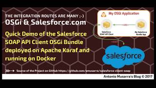 Apache Karaf: Demo Salesforce Gogo Shell Command