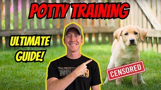 How To Potty Train A Puppy! Everything You Need To Know!