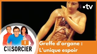 Greffe d'organe : L'unique espoir - C'est pas sorcier [Intégrale]