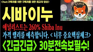 시바이누 시바이누코인 시바이누코인전망 SHIB DOGE BTC 트럼프 일론머스크 코인전망 비트코인 이더리움 도지코인