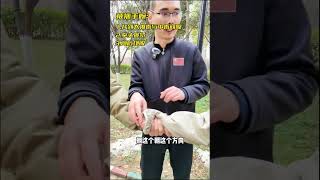 被人强行拖拽怎么办？老刘教你轻松化解#三招两式 #防身术教学 #女子防身术 #女性安全 #防狼 #foryou #kungfu #automobile #shortvideo