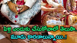 పెళ్లి ఎందుకు చేసుకోవాలో తెలుసా..?